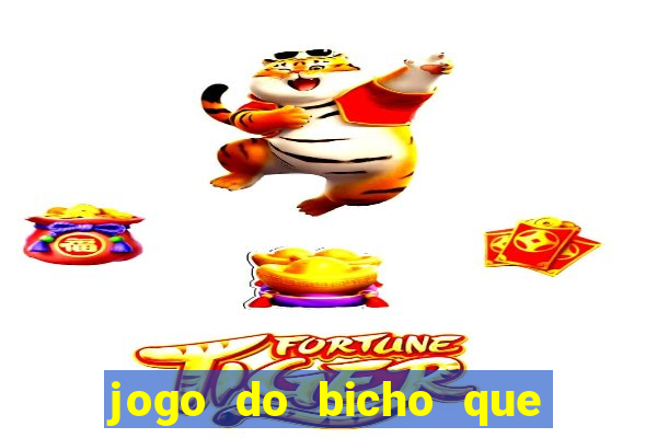 jogo do bicho que paga no pix